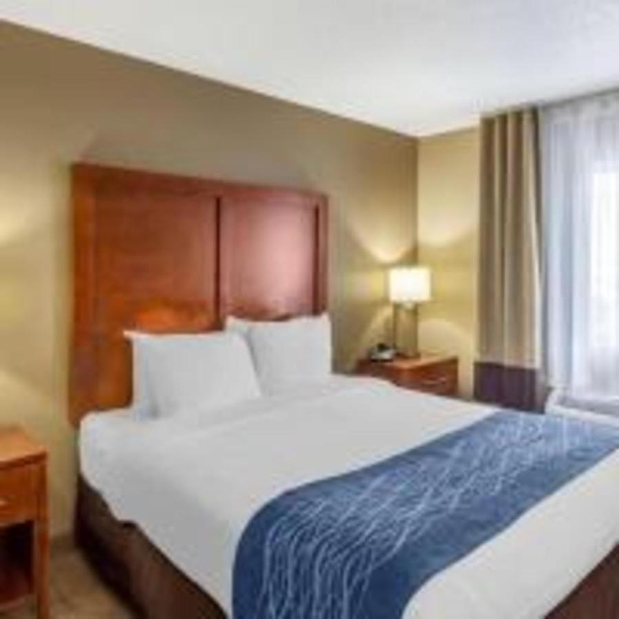 Comfort Inn Gurnee Near Six Flags מראה חיצוני תמונה